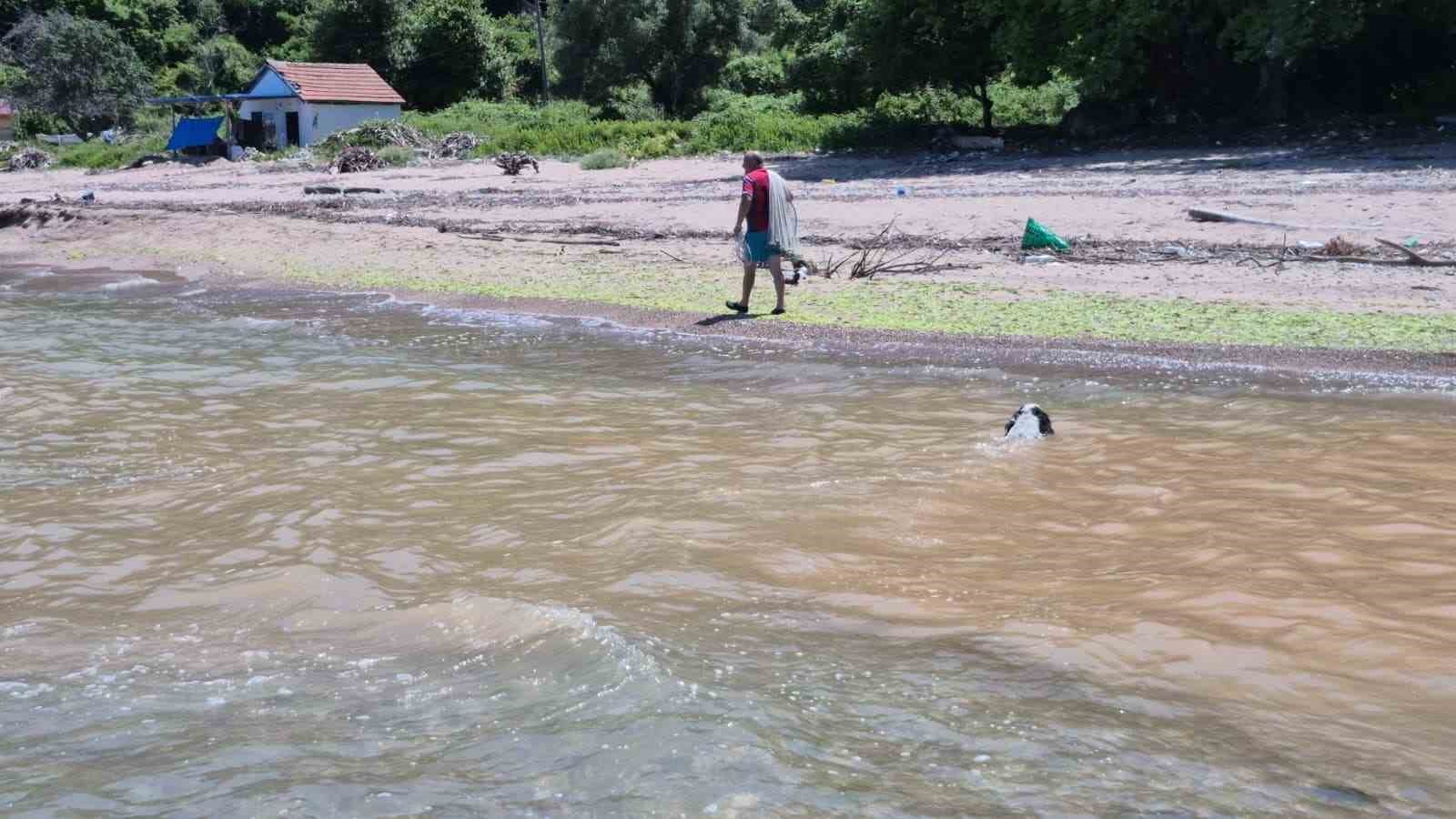 Bu plajdakiler 10 adımda il değiştiriyor