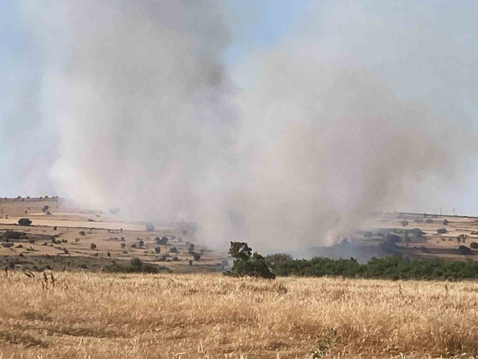 Seyitgazi’de çıkan yangın 3 köyün ovalarına yayıldı, ormana doğru ilerliyor