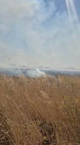 Seyitgazi’de çıkan yangın 3 köyün ovalarına yayıldı, ormana doğru ilerliyor