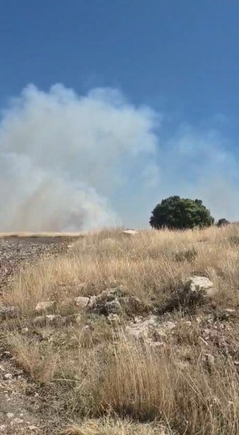 Seyitgazi’de çıkan yangın 3 köyün ovalarına yayıldı, ormana doğru ilerliyor