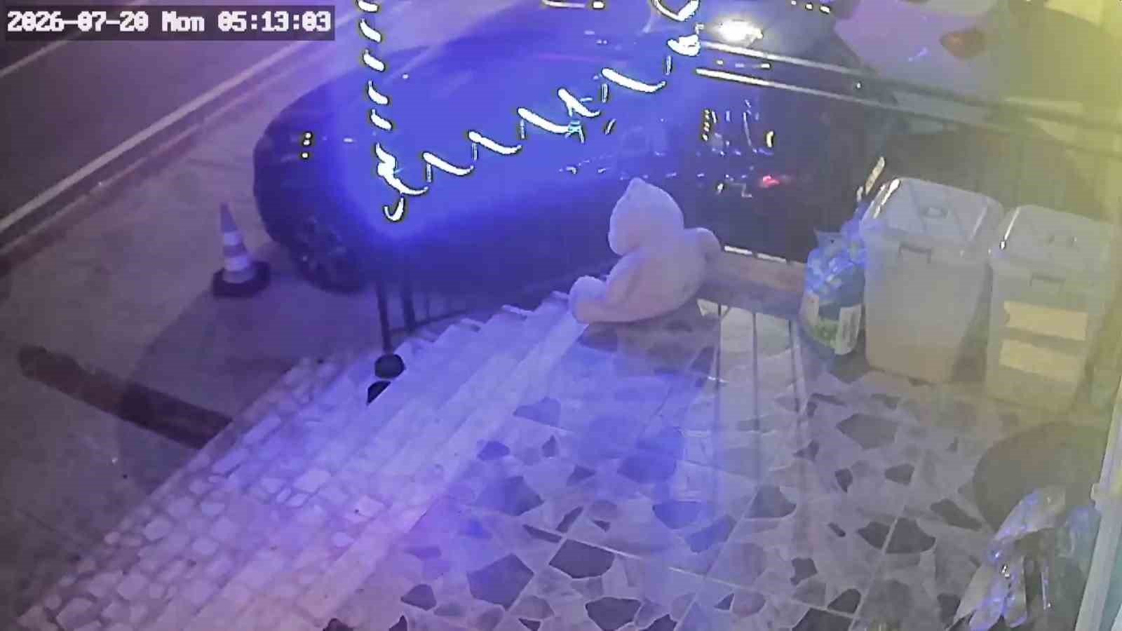 İlginç hırsızlık: Petshop önündeki mama kutusunu çaldı