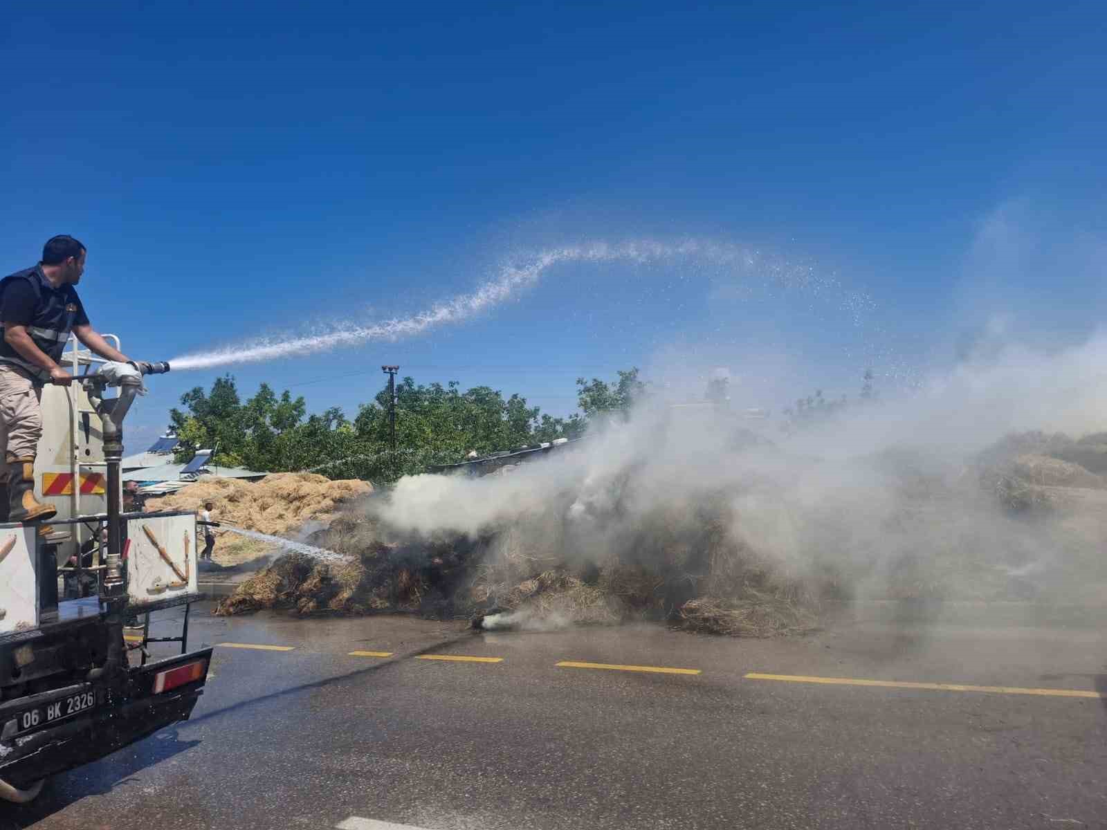 Van’da ot yangını