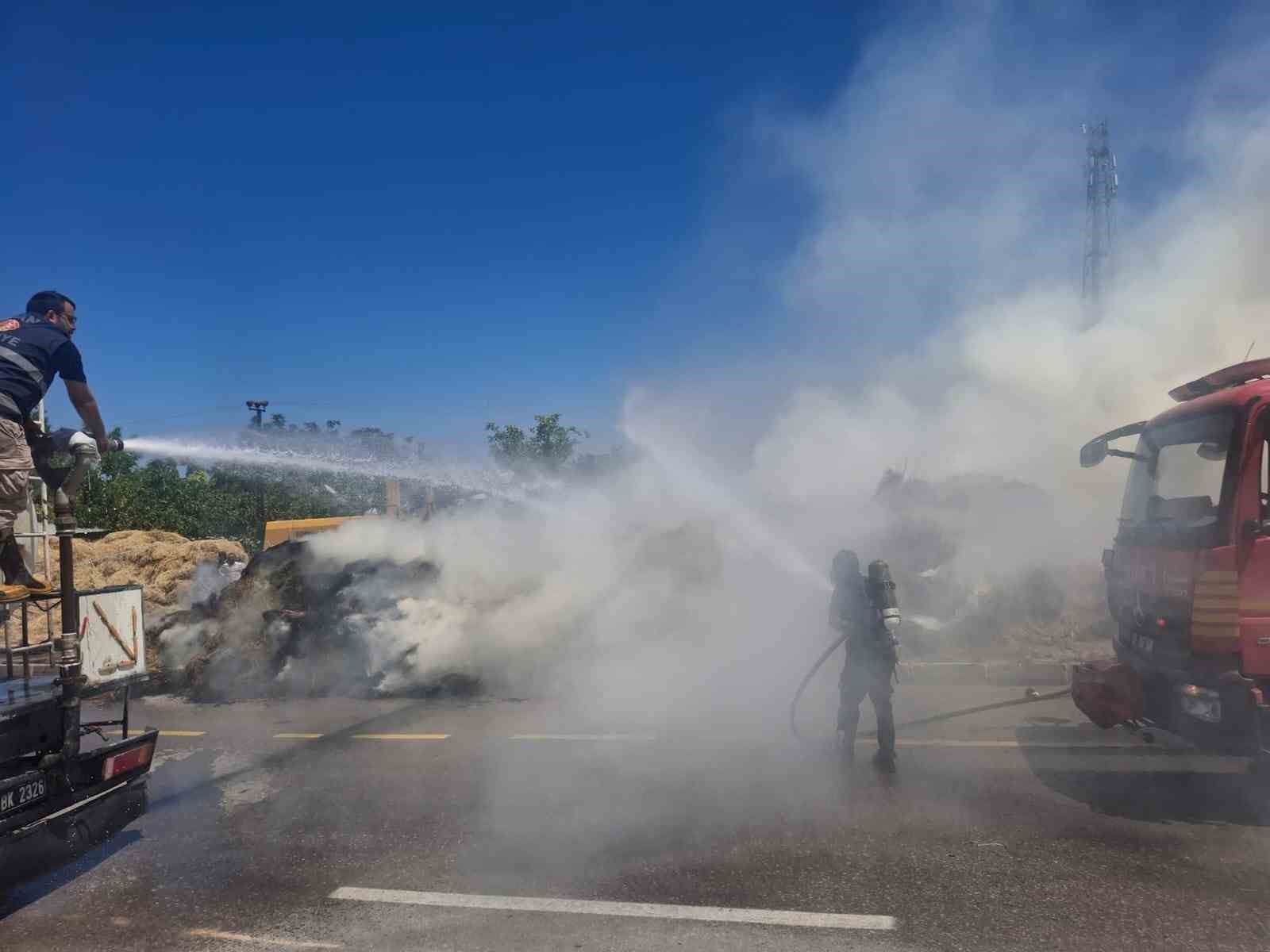 Van’da ot yangını