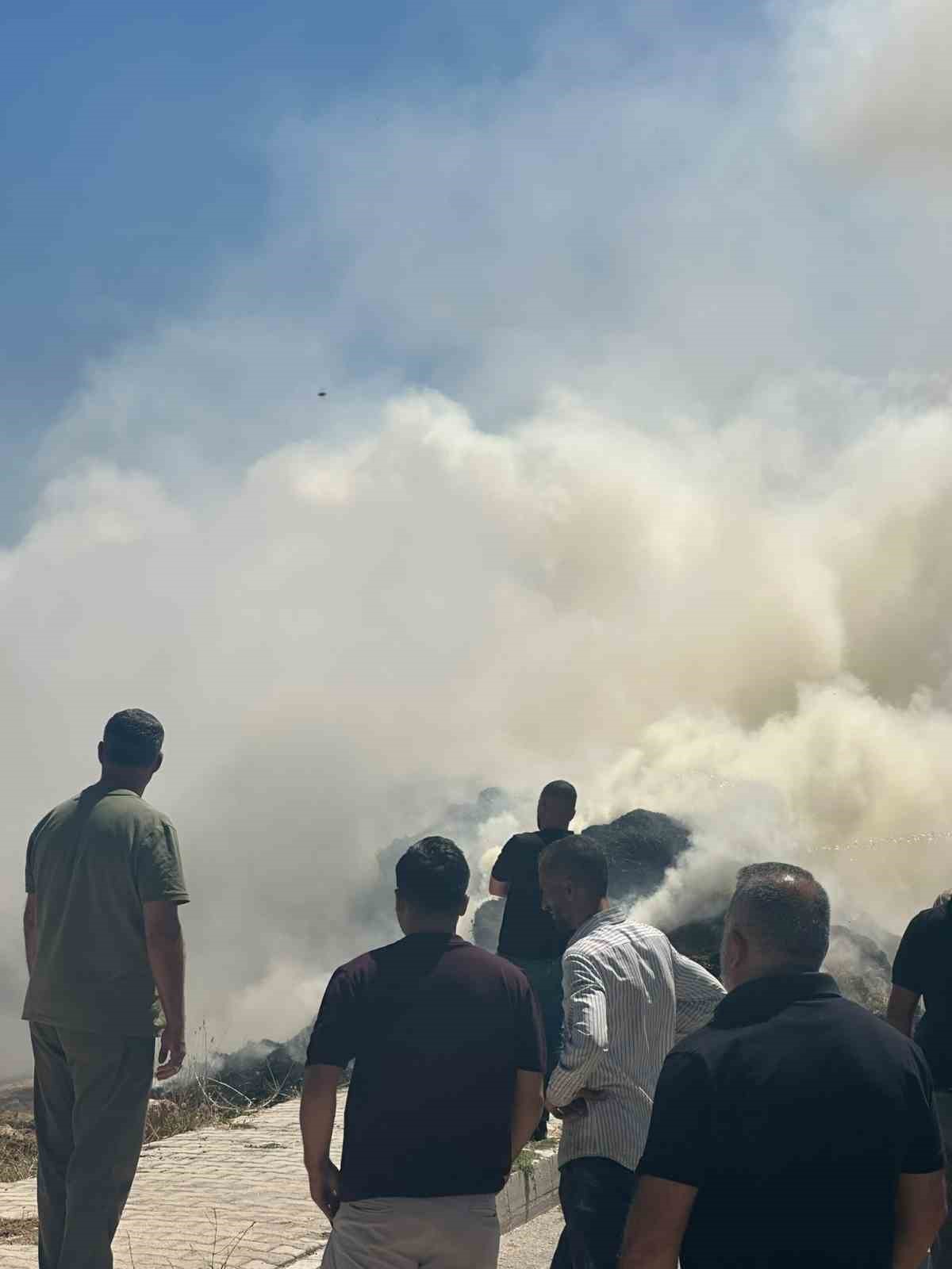 Van’da ot yangını