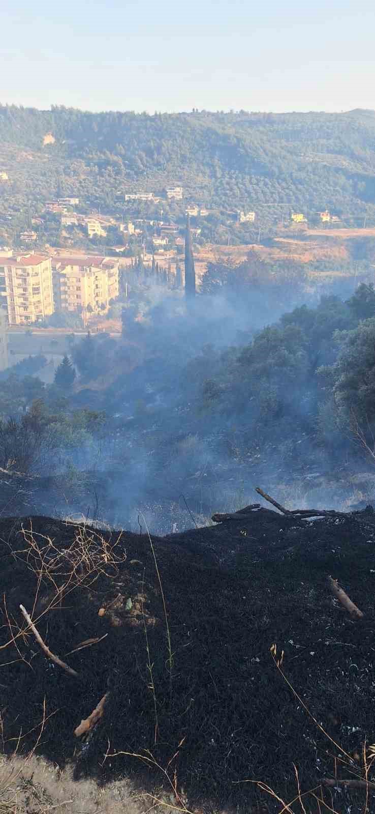 Söke’de makilik ve zeytinlik yangını