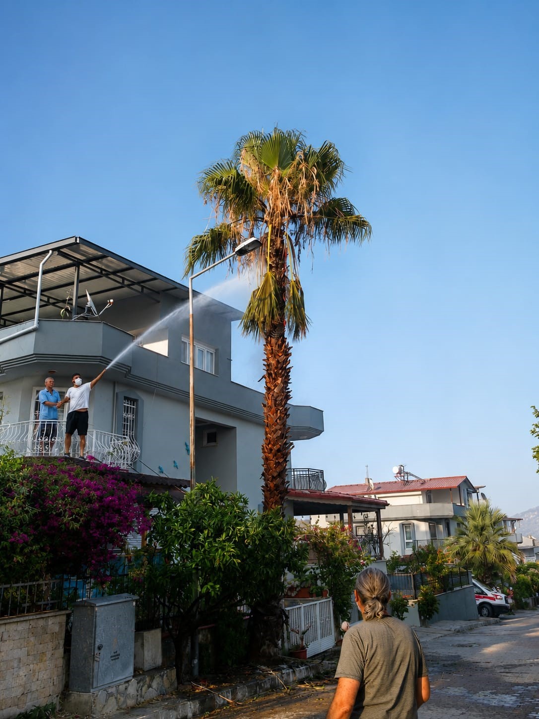 Söke’de makilik ve zeytinlik yangını
