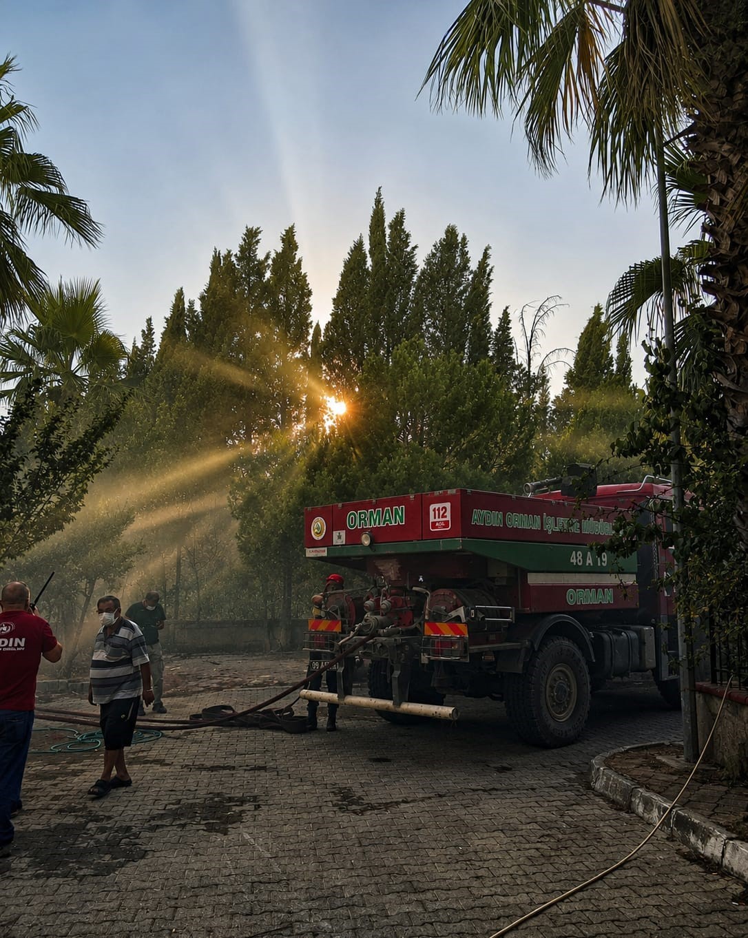 Söke’de makilik ve zeytinlik yangını