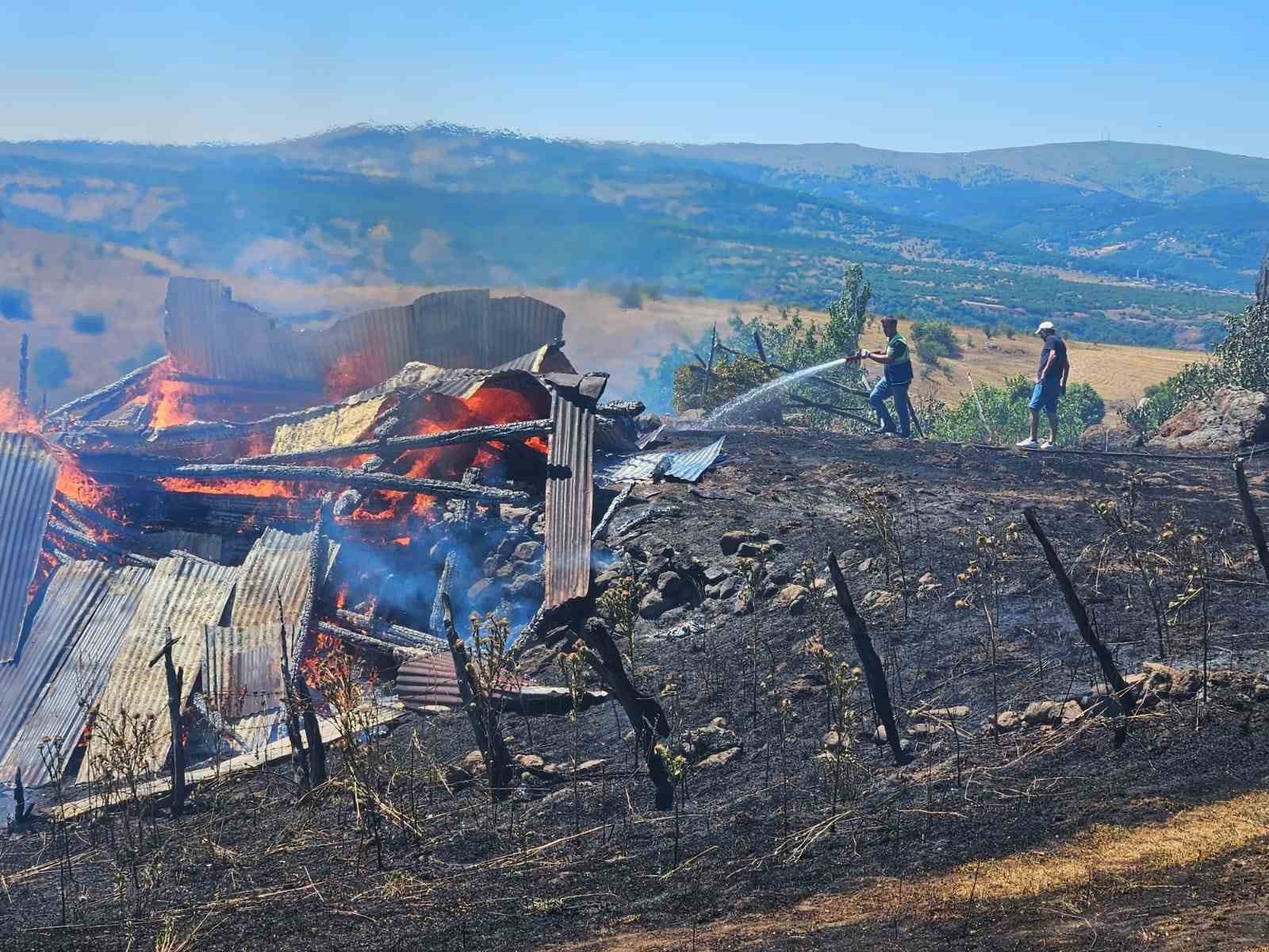 Ordu’da tarım arazisinde çıkan yangında 5 samanlık yandı