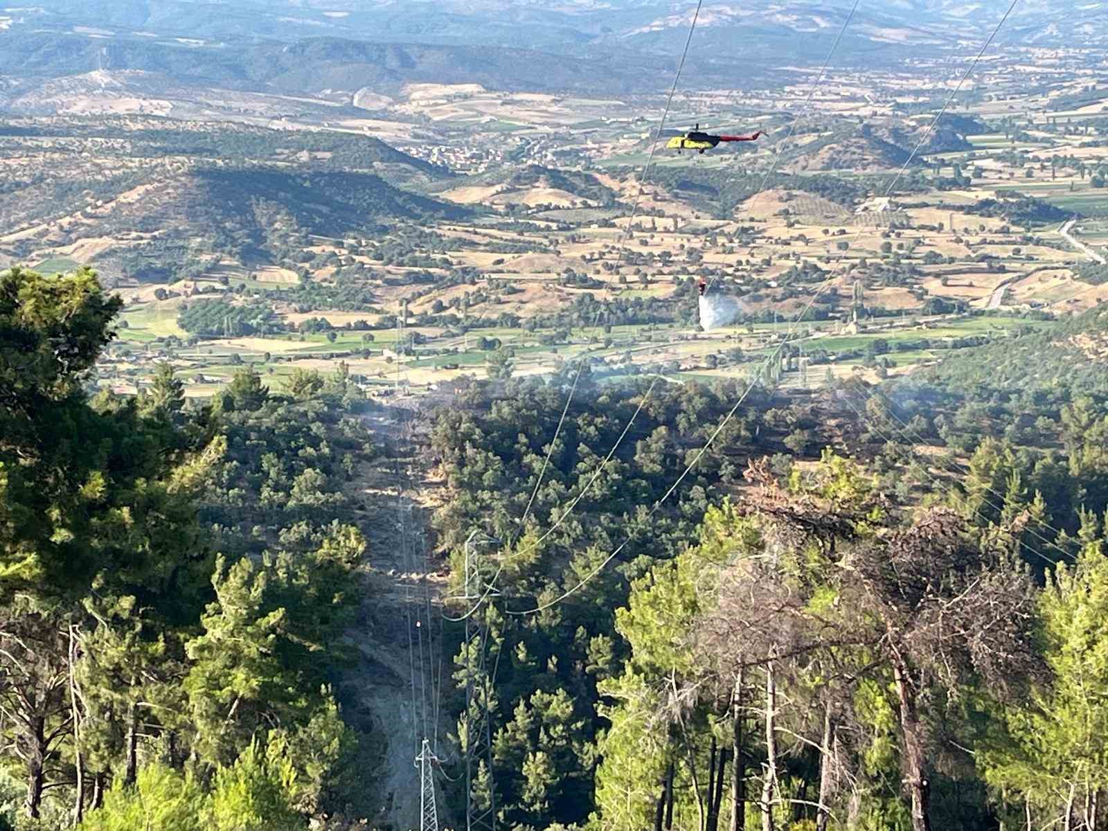 Manisa’da yangında 1.5 hektarlık kızılçam ormanı zarar gördü