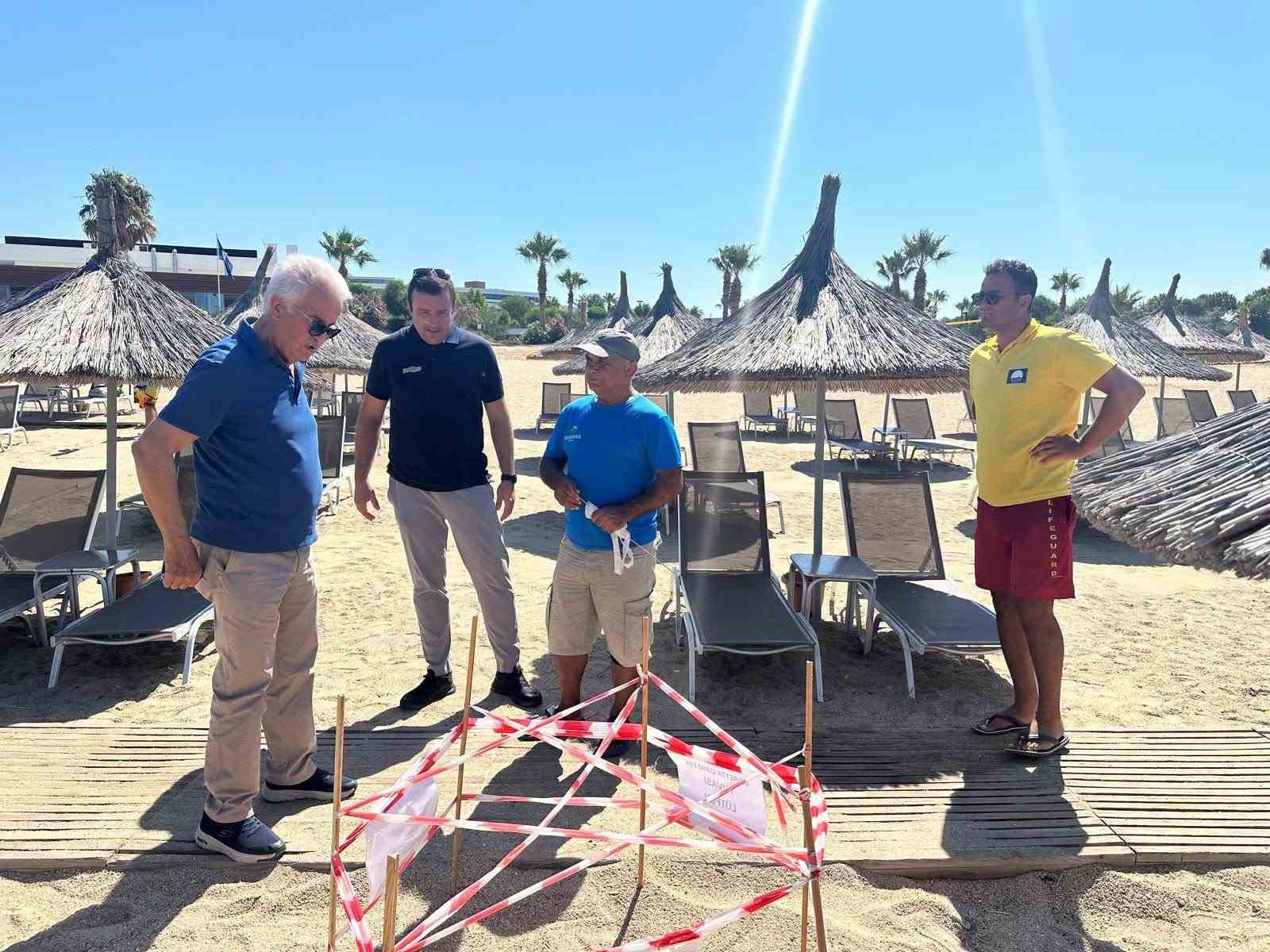 Didim’de 5 yıl sonra aynı plaja dönen caretta yeniden yuva yaptı