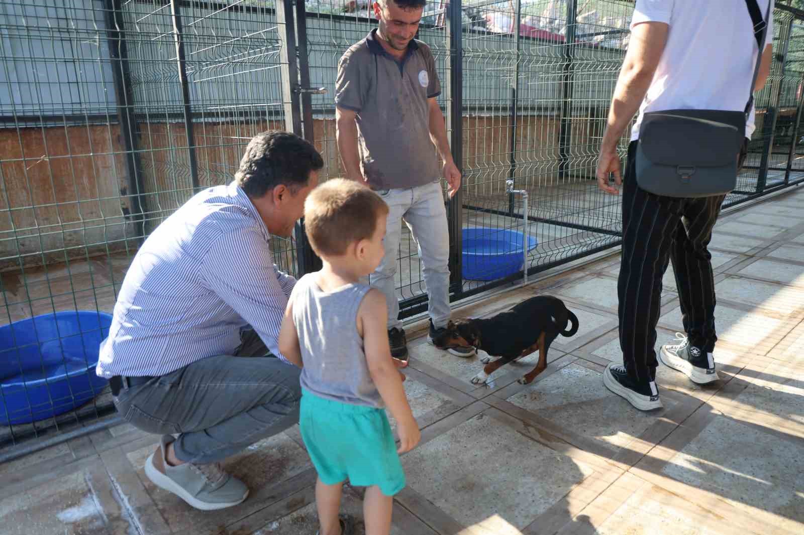 Kozan’da hedef sıfır sahipsiz sokak hayvanı