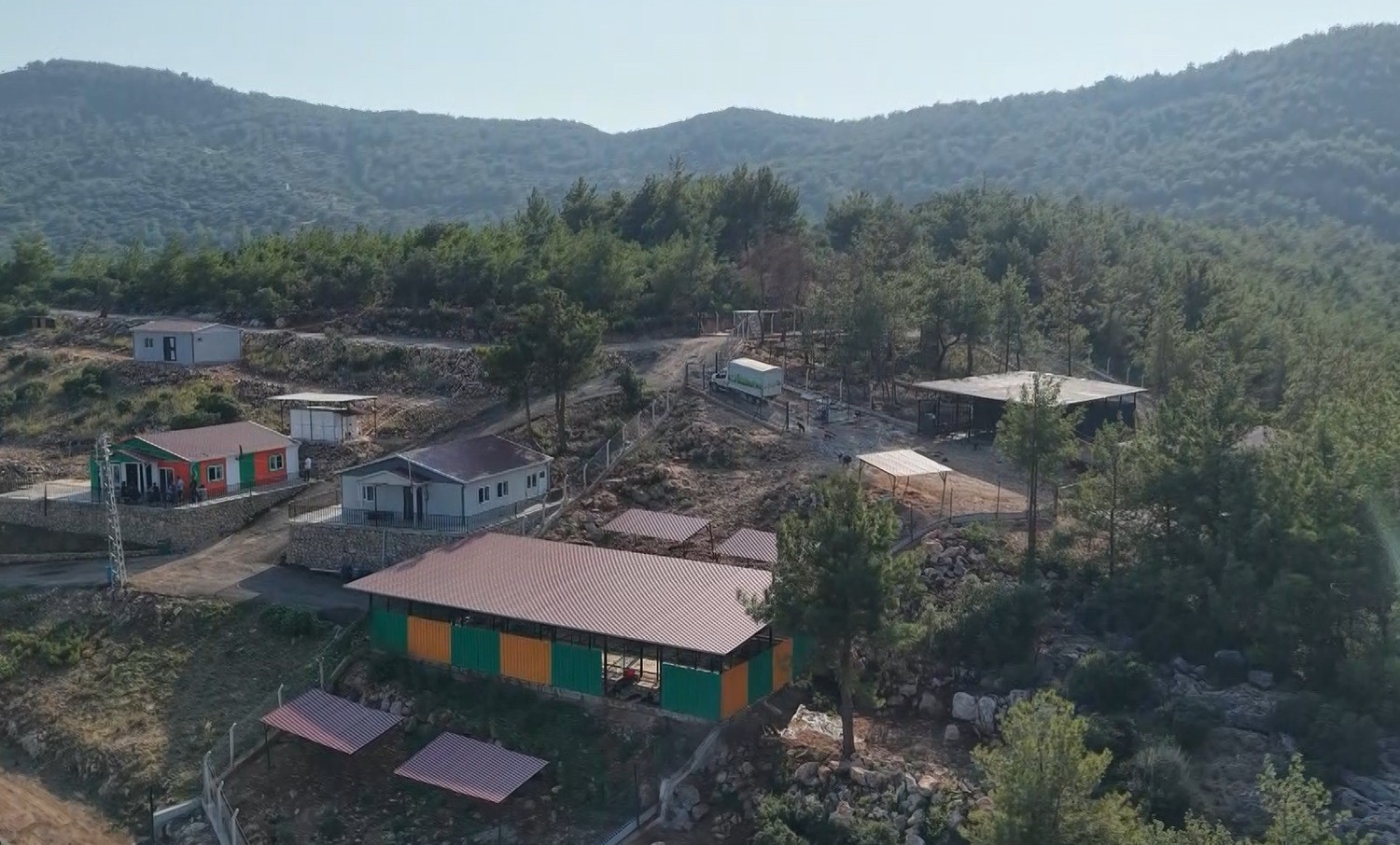 Kozan’da hedef sıfır sahipsiz sokak hayvanı