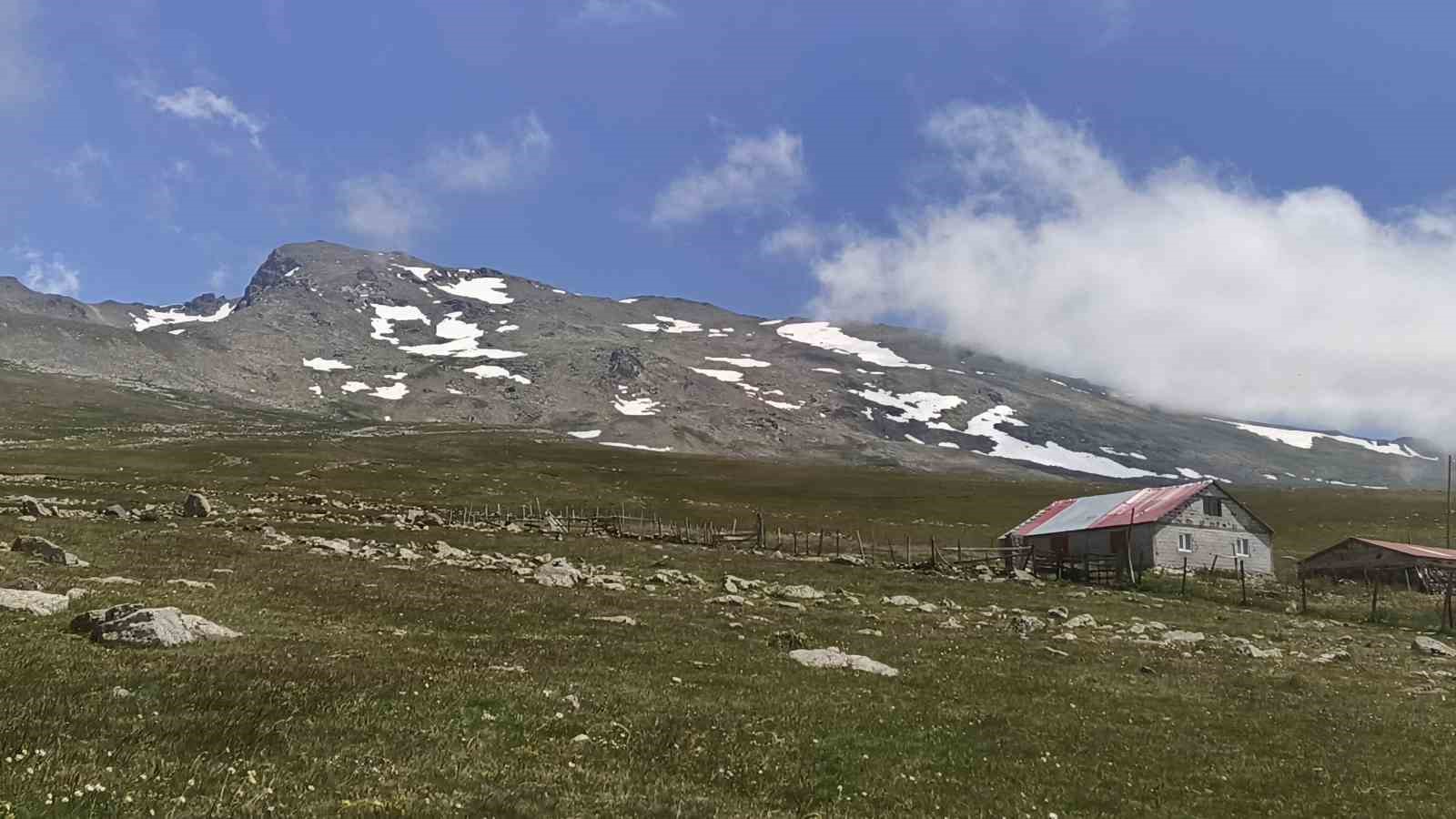 Ordu’nun yaylalarında yaz güzelliği