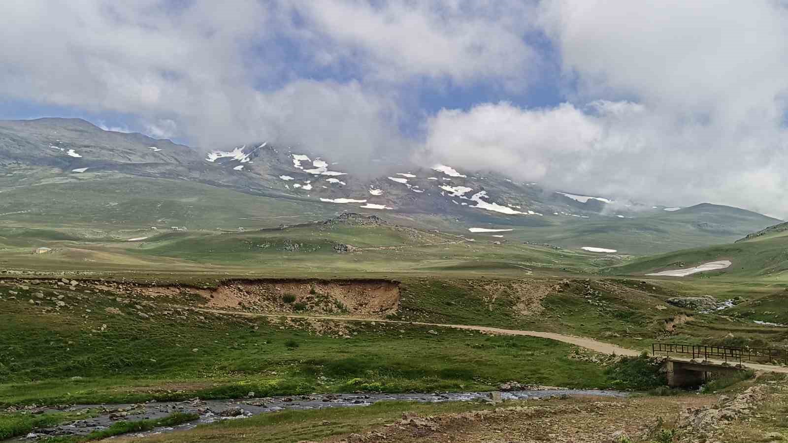 Ordu’nun yaylalarında yaz güzelliği
