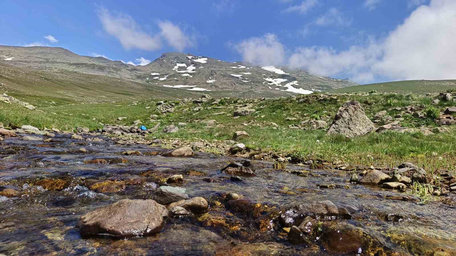 Ordu’nun yaylalarında yaz güzelliği