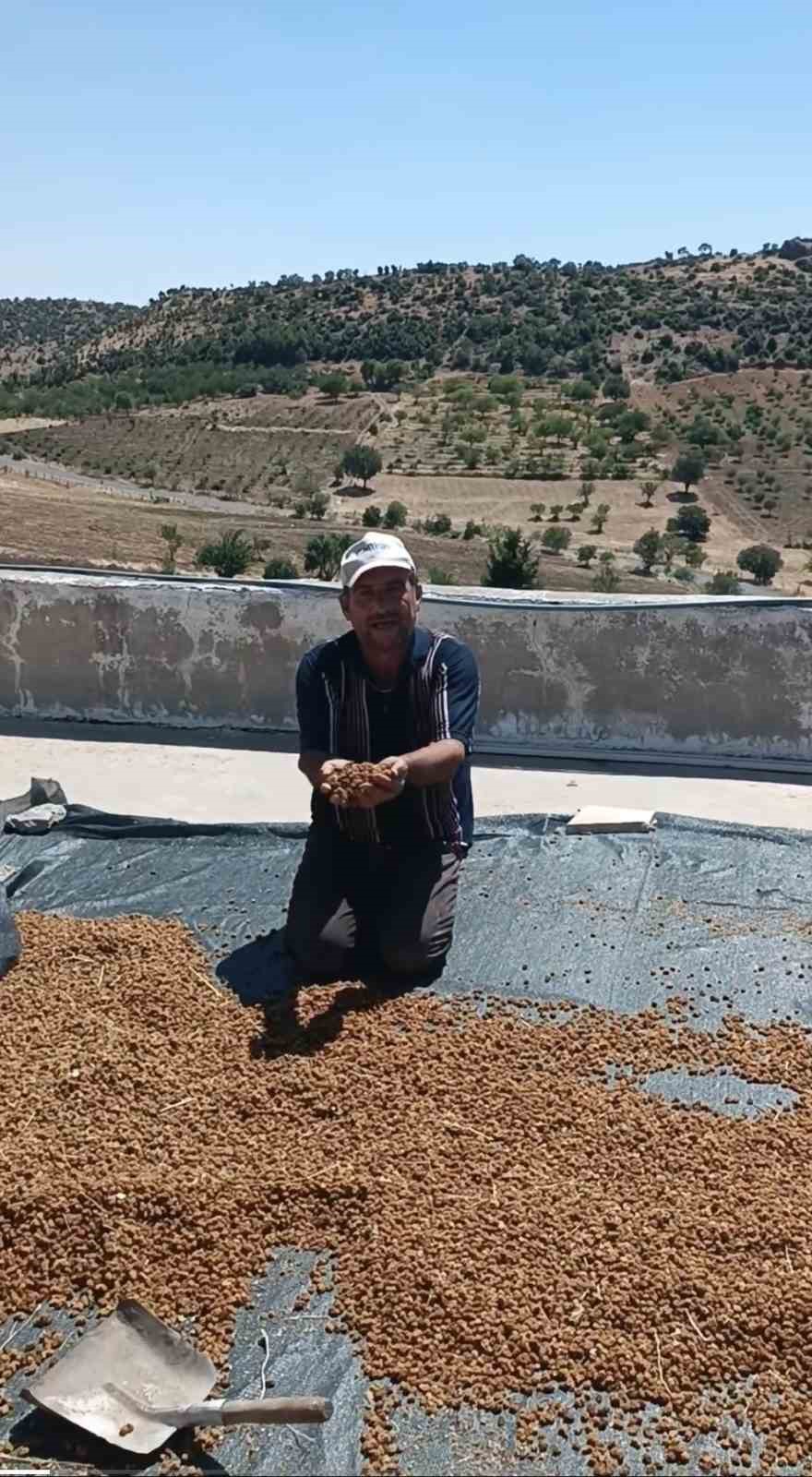 Çermik’te dutlar pazardaki yerini aldı