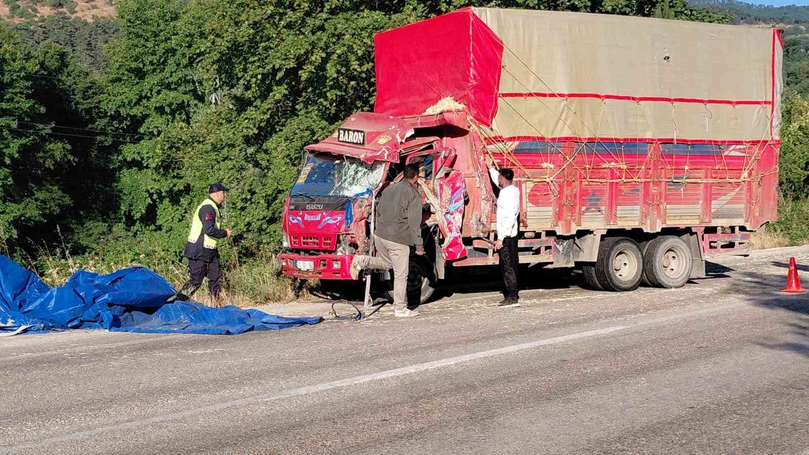 Bolu’da iki kamyon kafa kafaya çarpıştı: Samanlar yola saçıldı, 2 yaralı