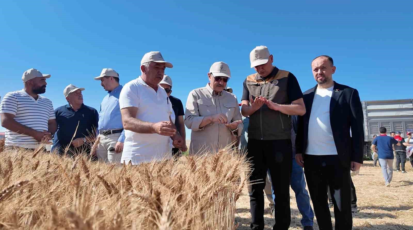 Eski Enerji ve Tabii Kaynaklar Bakanı Dönmez buğday hasadında katıldı