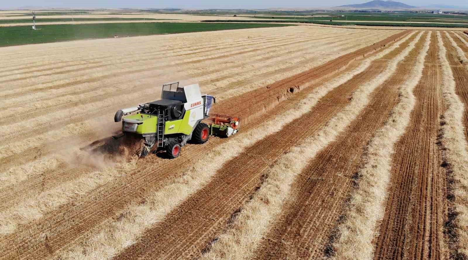 Eski Enerji ve Tabii Kaynaklar Bakanı Dönmez buğday hasadında katıldı