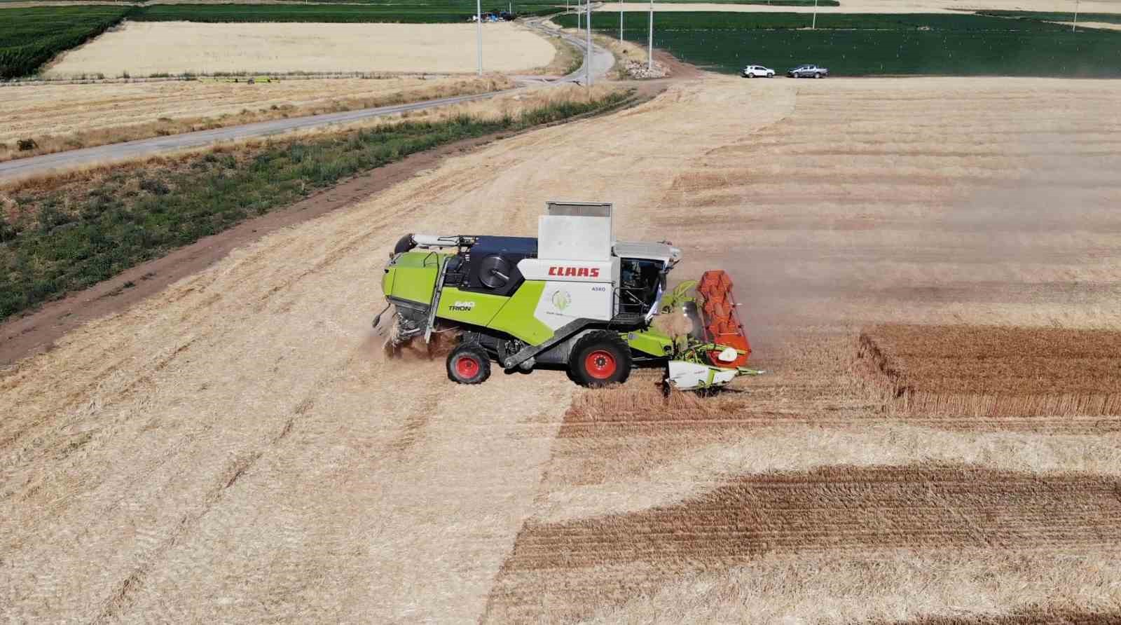 Eski Enerji ve Tabii Kaynaklar Bakanı Dönmez buğday hasadında katıldı