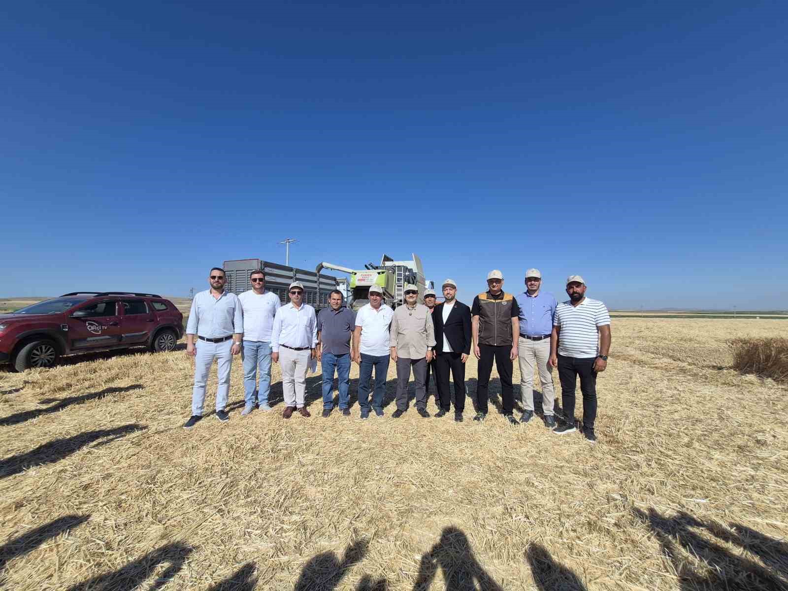 Eski Enerji ve Tabii Kaynaklar Bakanı Dönmez buğday hasadında katıldı