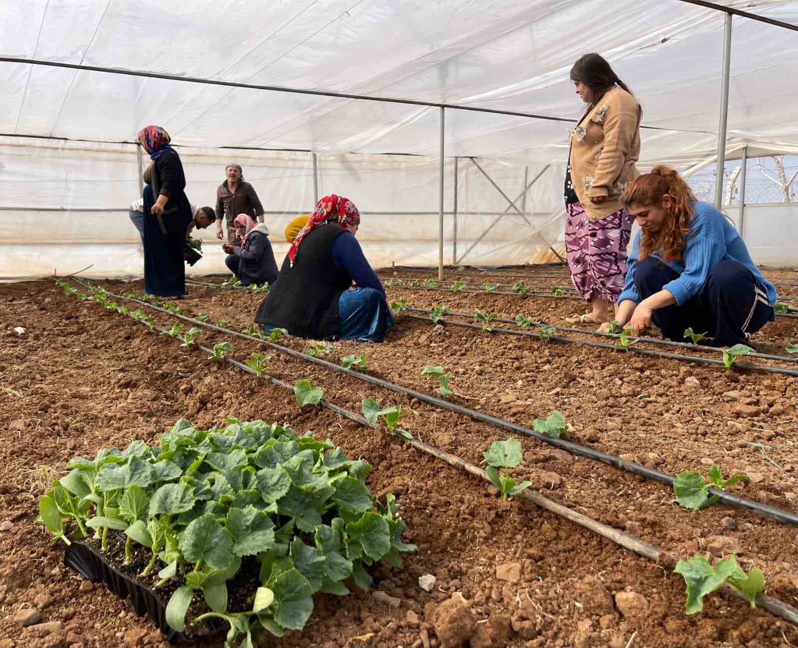 Sulu tarım mevsimlik tarım işçiliğini bitirdi