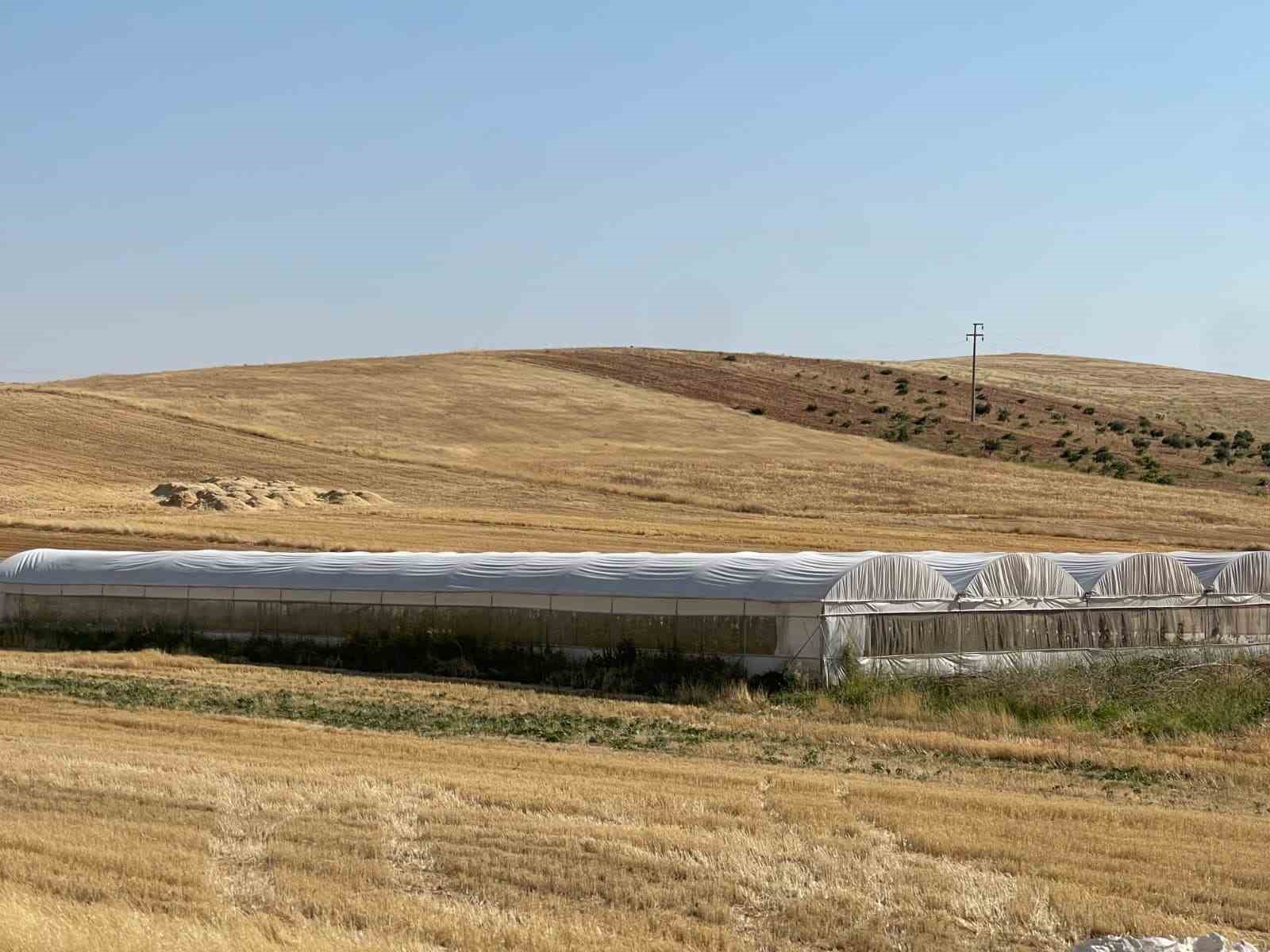 Sulu tarım mevsimlik tarım işçiliğini bitirdi