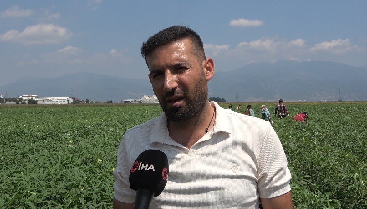 Bamyanın başkenti Osmaniye’de hasat başladı
