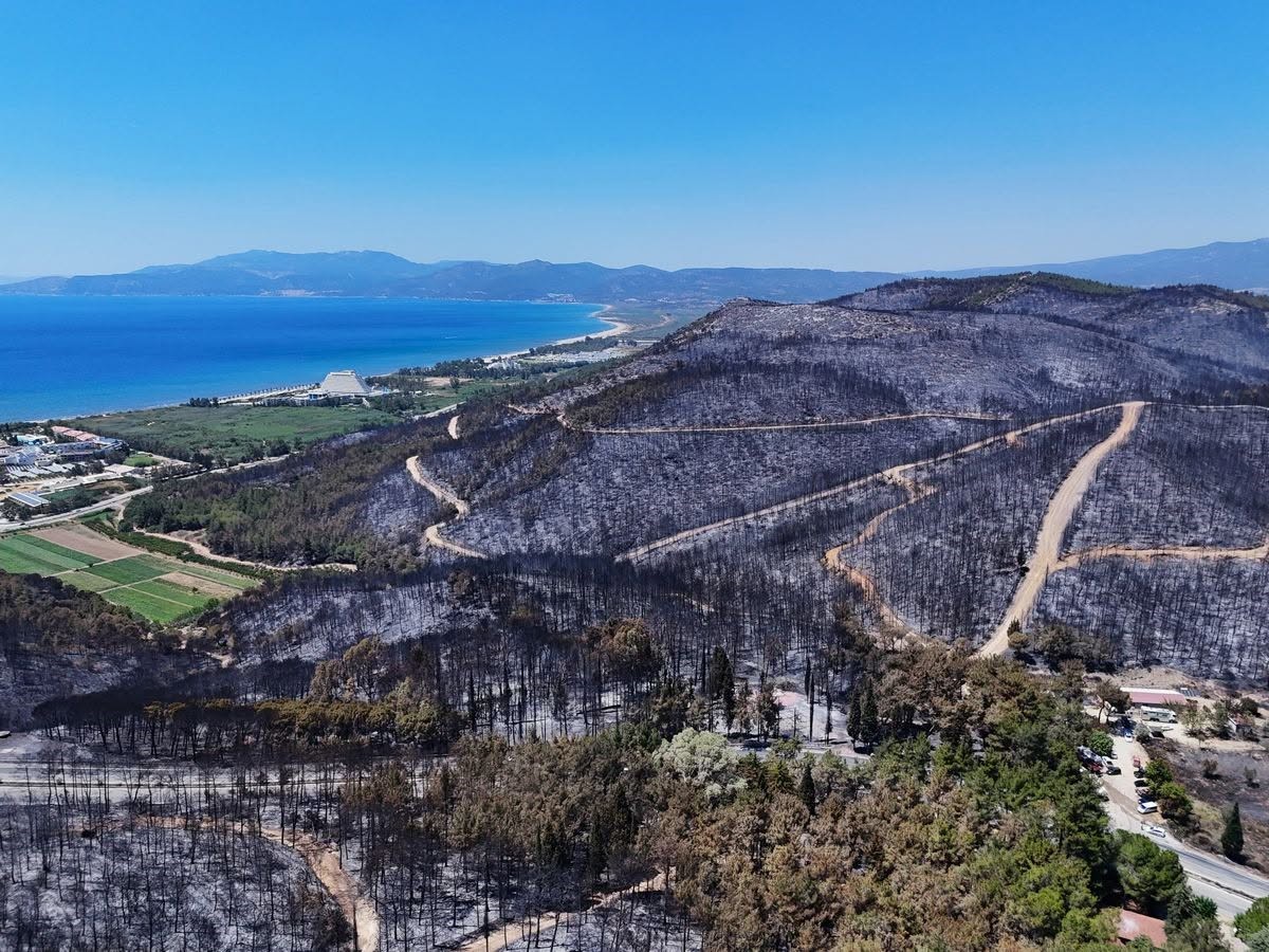 Meğer keçiler orman dostuymuş