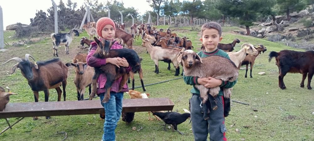 Meğer keçiler orman dostuymuş