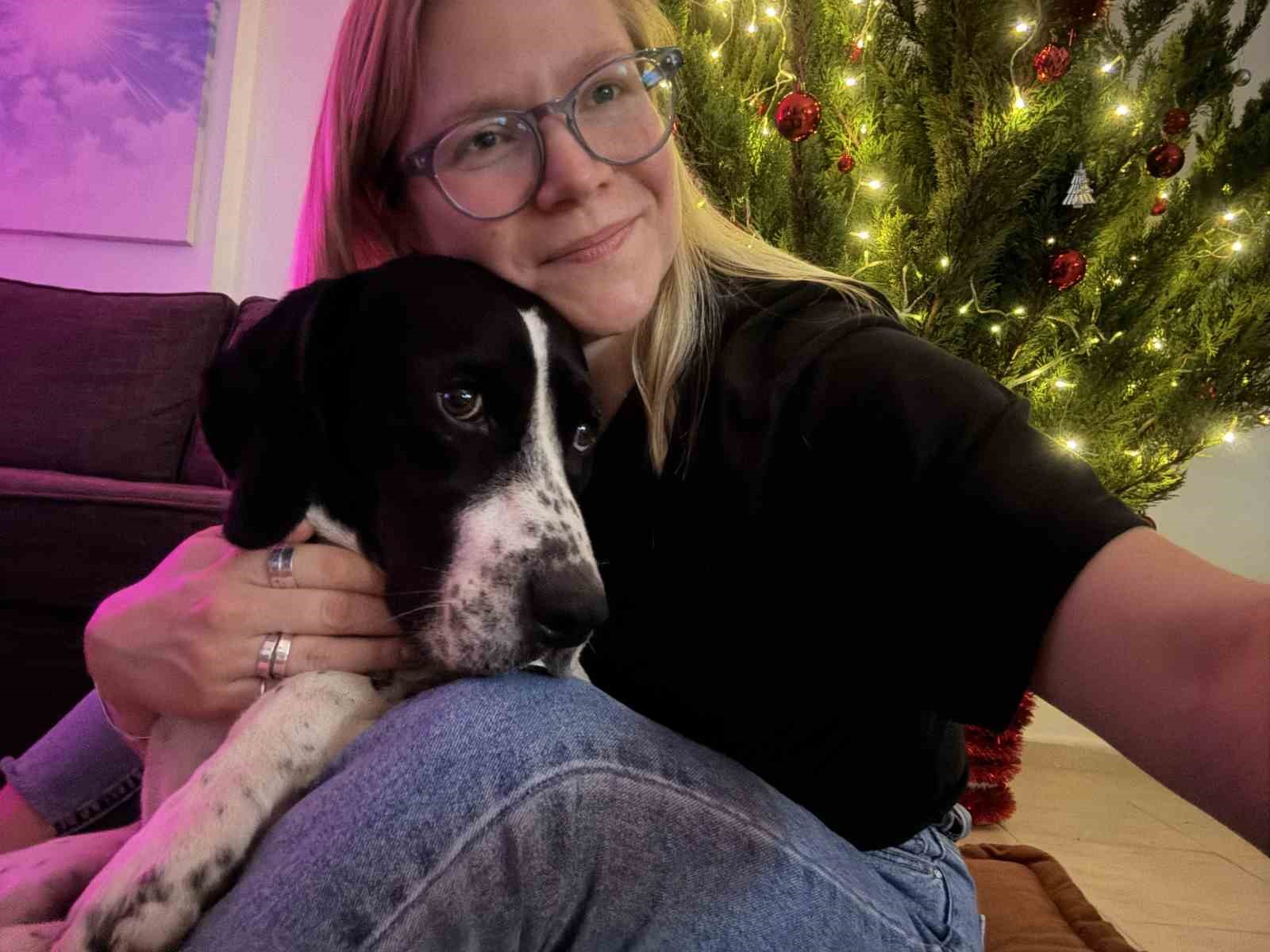 Rus kadın 4 ay önce kaybolan köpeğini 4 ilçede arıyor, binlerce afiş bastırıp her yere asıyor