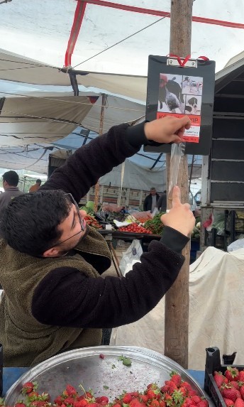 Rus kadın 4 ay önce kaybolan köpeğini 4 ilçede arıyor, binlerce afiş bastırıp her yere asıyor