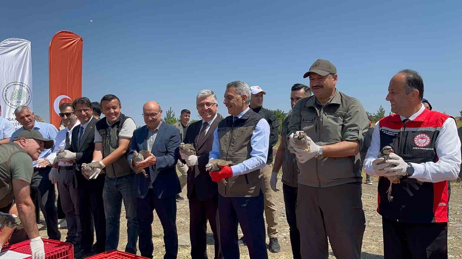 Çamlık Milli Parkı’nda bin keklik doğaya kanat çırptı