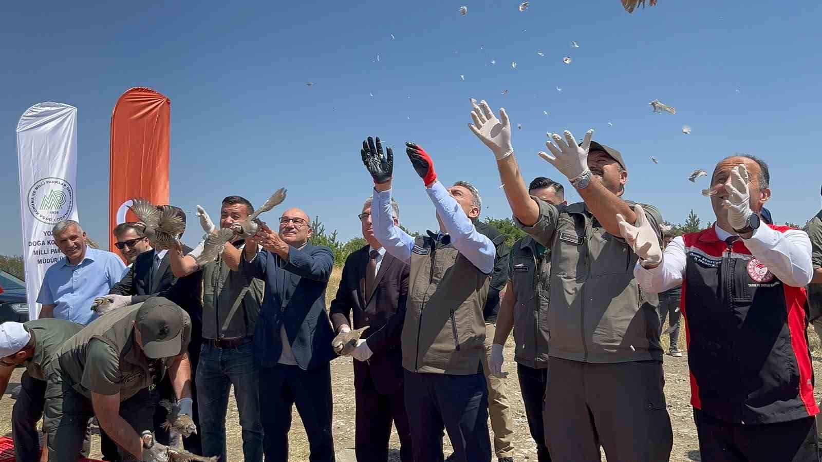 Çamlık Milli Parkı’nda bin keklik doğaya kanat çırptı