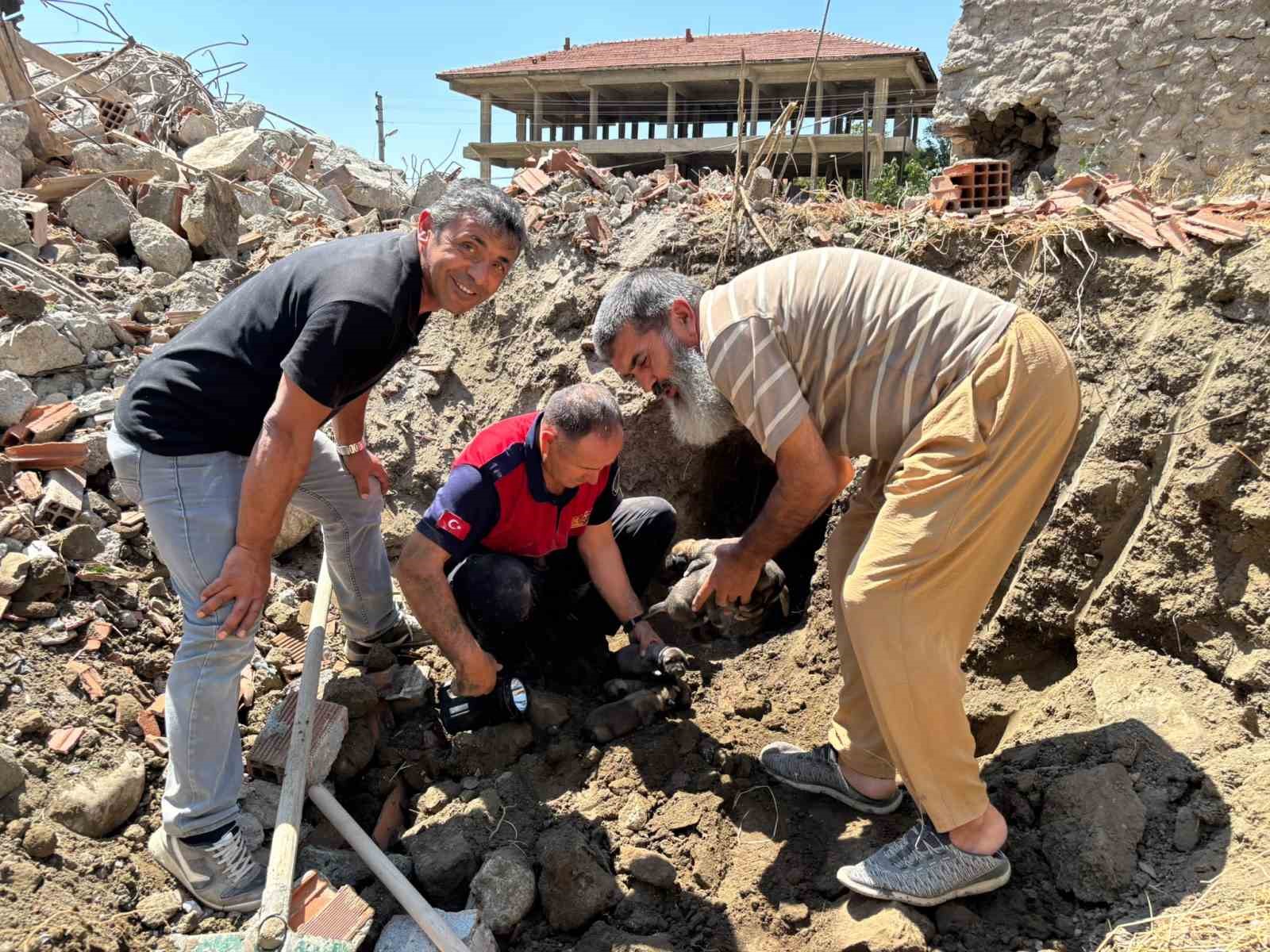 Yıkım halindeki binada mahsur kalan 8 yavru köpeği itfaiye kurtardı