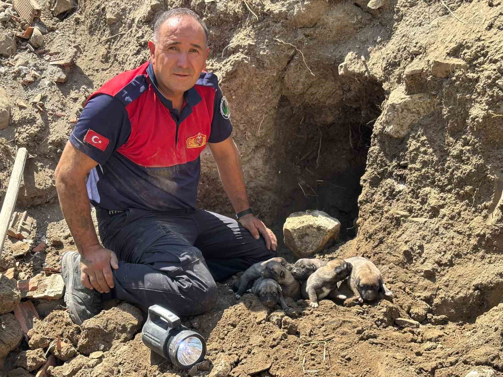 Yıkım halindeki binada mahsur kalan 8 yavru köpeği itfaiye kurtardı