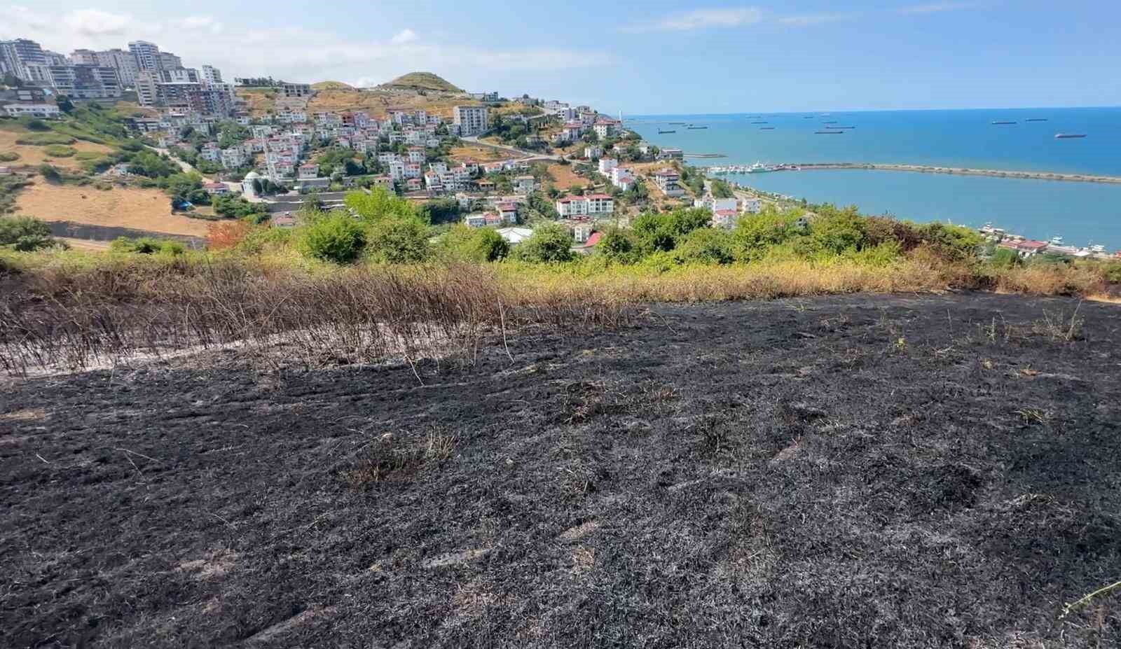 Samsun’da otluk alan yangını: 10 dönüm alan zarar gördü