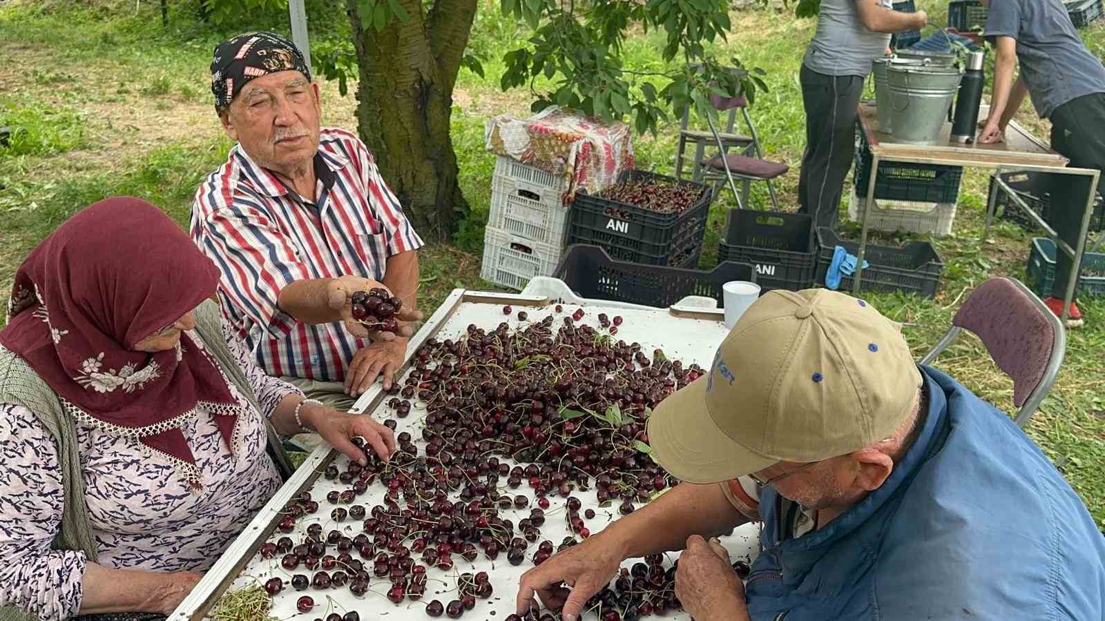 Coğrafi işaretli Akşehir ve Sultandağı kirazlarında tarihi rekor kırıldı