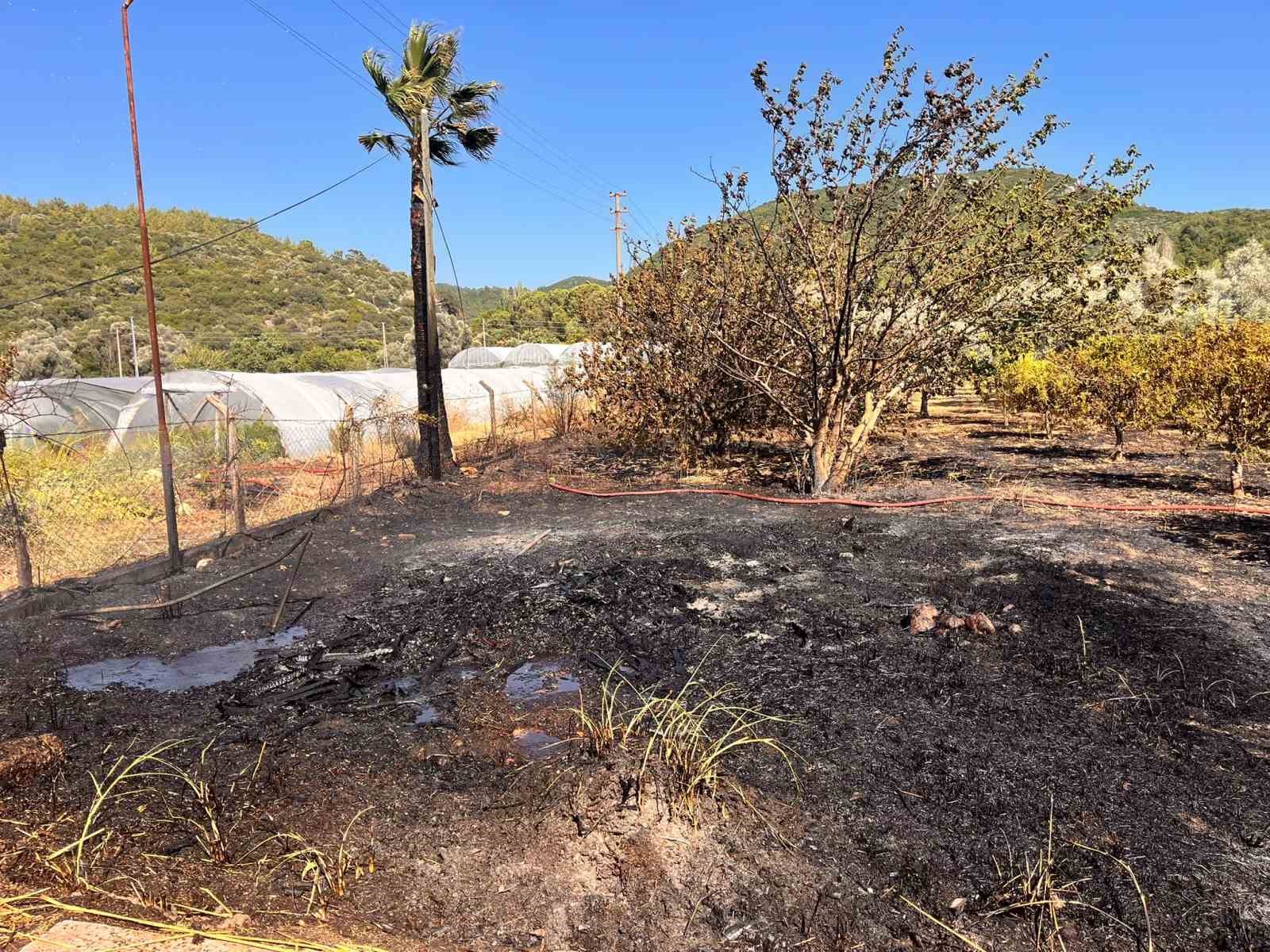 Marmaris’te zirai alan yangını kontrol altında