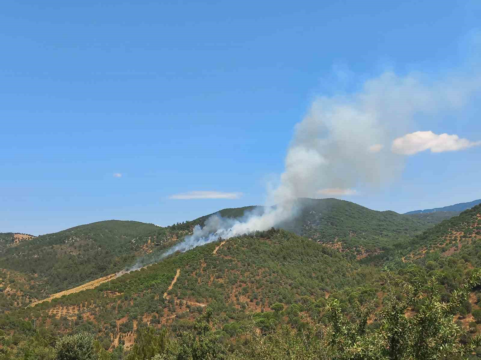 Burhaniye’de çıkan orman yangını kontrol altına alındı