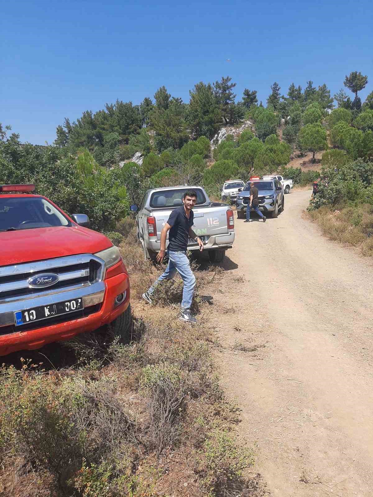 Burhaniye’de çıkan orman yangını kontrol altına alındı