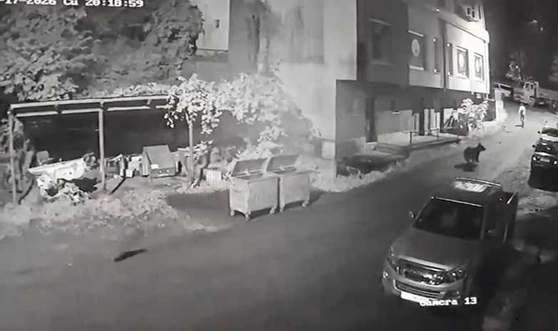Rize’de vatandaşı ayı kovaladı, o anlar kameraya yansıdı
