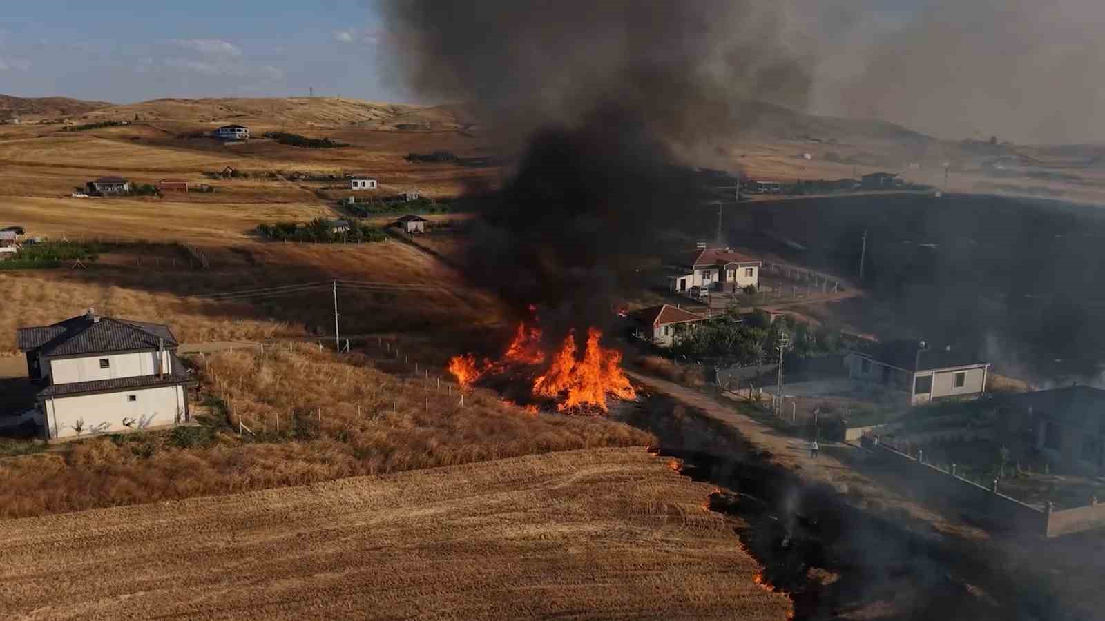 Bir izmarit faciaya yol açıyordu: Alevler mandıra ve evlere kadar ilerledi
