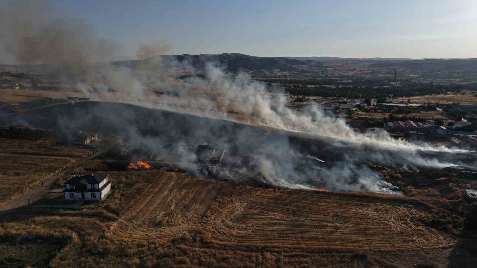 Bir izmarit faciaya yol açıyordu: Alevler mandıra ve evlere kadar ilerledi