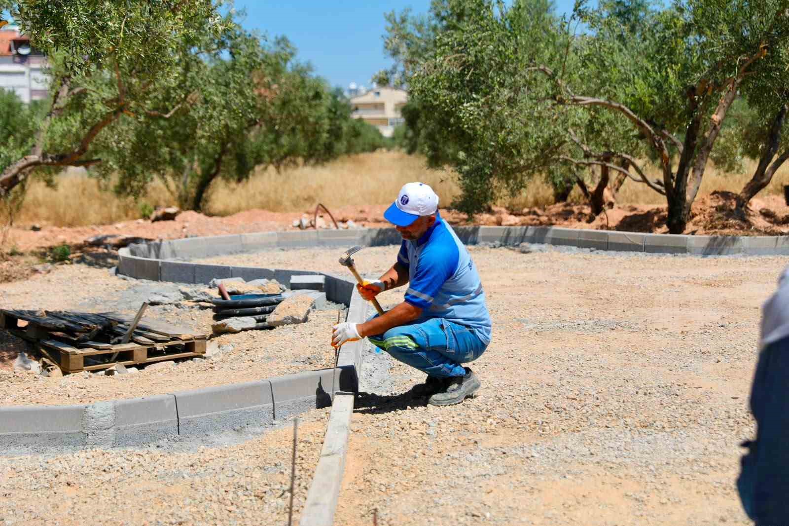 Didim’de Zeytin Park Projesi hayata geçirilecek