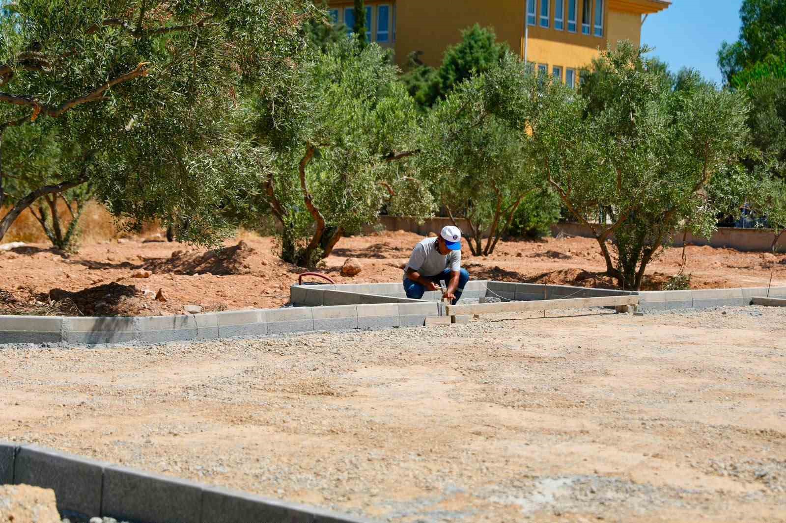 Didim’de Zeytin Park Projesi hayata geçirilecek
