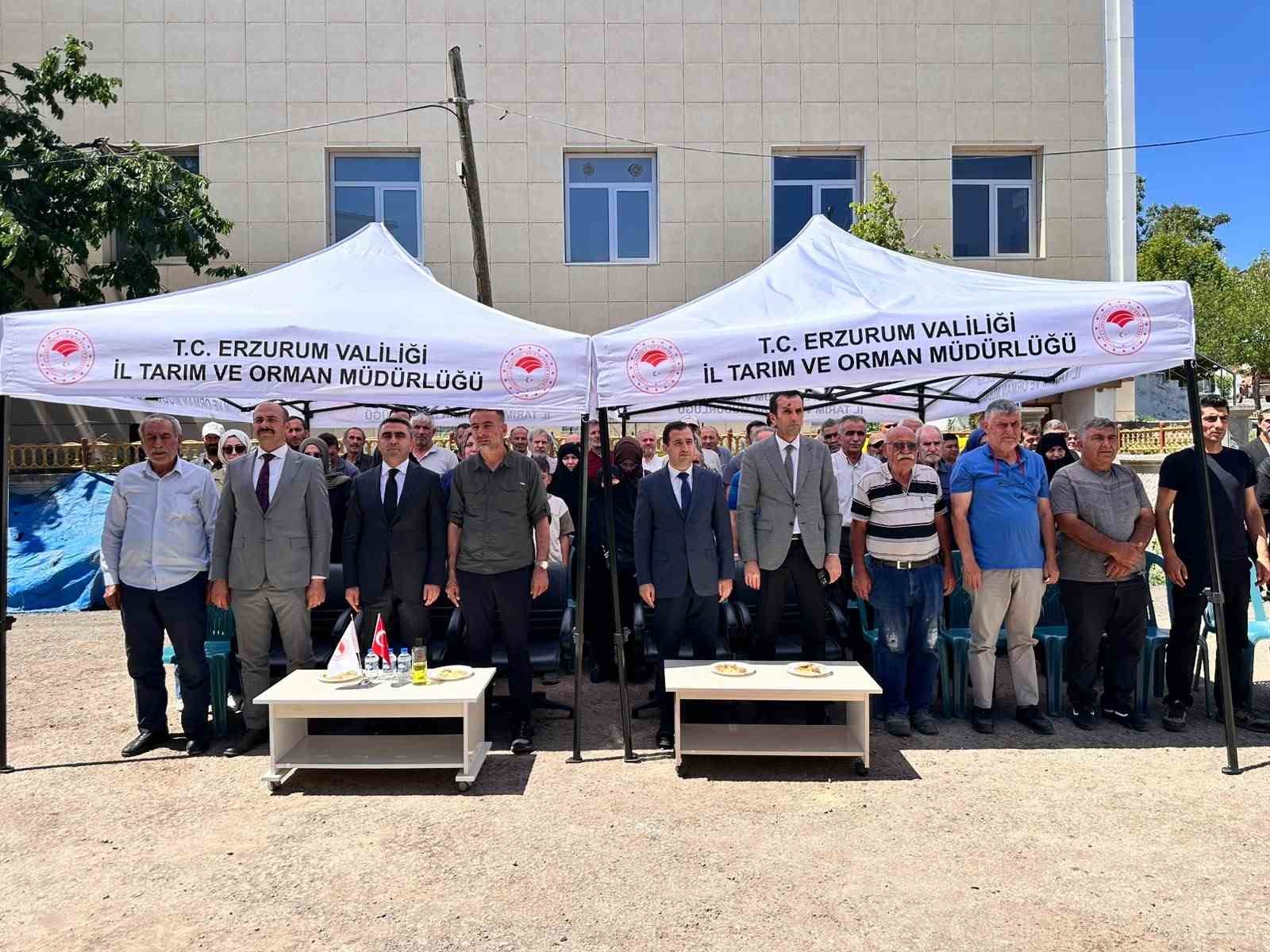 Pazaryolu’nda üreticilere bin meyve fidanı ve 11 sera naylonu desteği