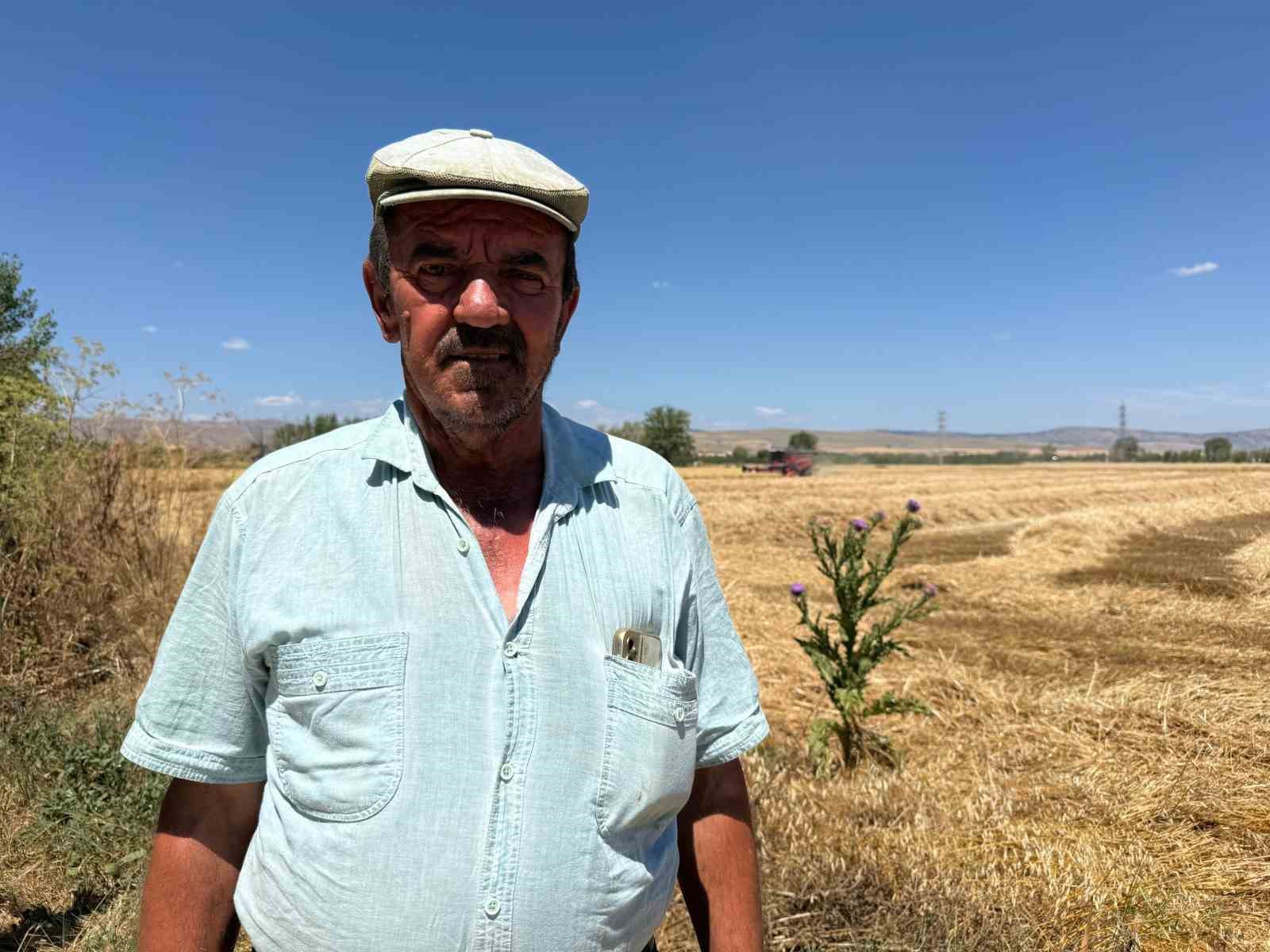 Keskinli çiftçisinin buğday sevinci