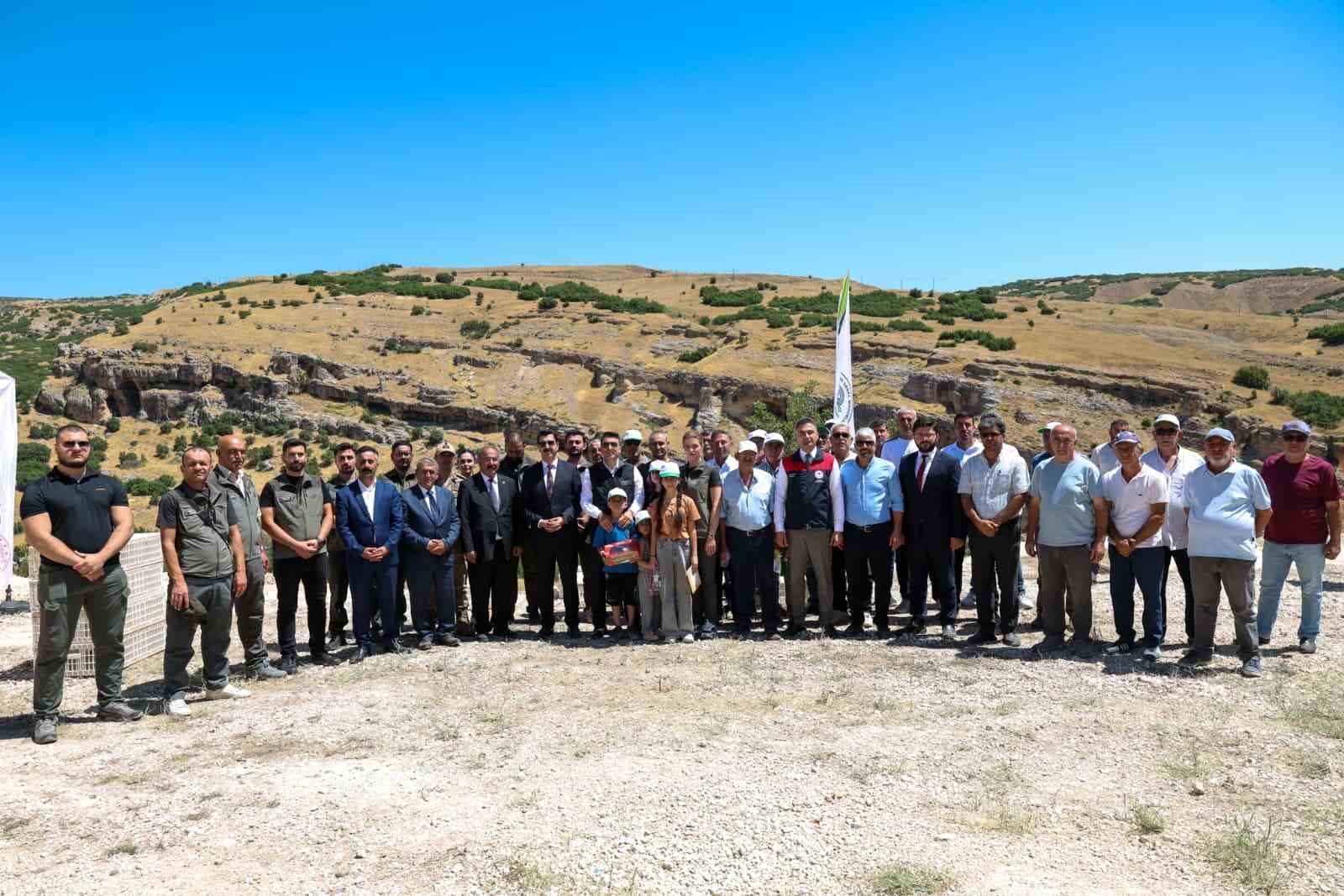 Kenelere karşı mücadele sürüyor: Tunceli’de 500 kınalı keklik doğaya salındı