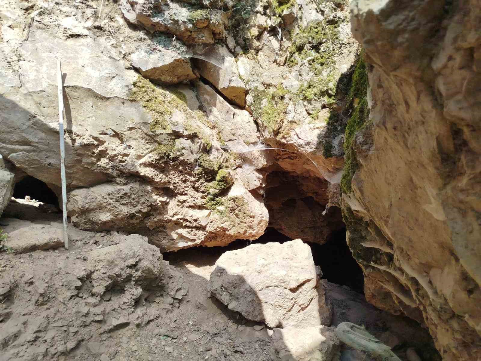 86 bin yıllık mağarada 35 bin bulguya ulaşıldı